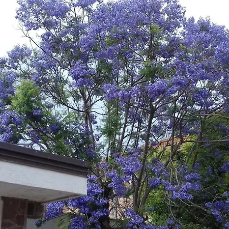 Case E Giardini