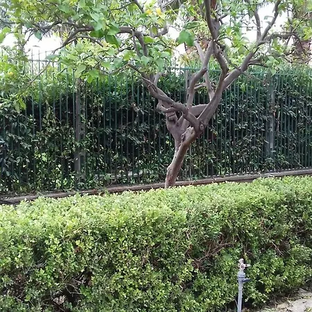 Case E Giardini